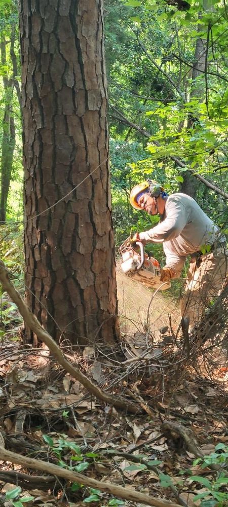 All Photos for Tucker's Tree Service and Stump Grinding in Lugoff, SC