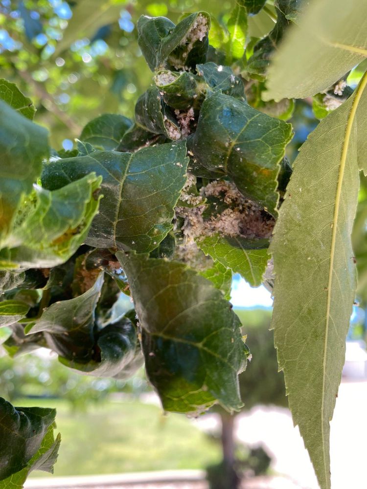 All Photos for Raton Property Maintenance in Raton, NM