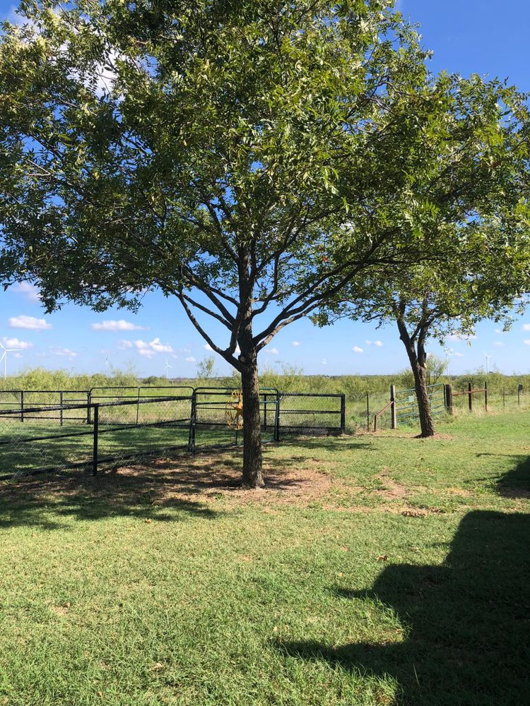 Landscaping for Piña’s Lawncare in Waco, TX