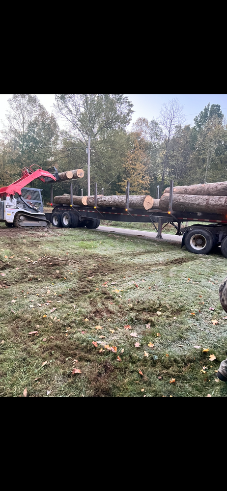 All Photos for Kadin’s Tree Service in North Vernon, IN