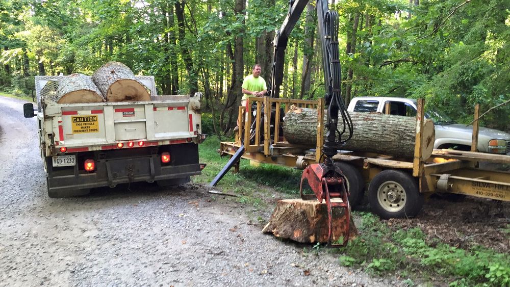 All Photos for Smith Tree Experts in Palmyra, VA
