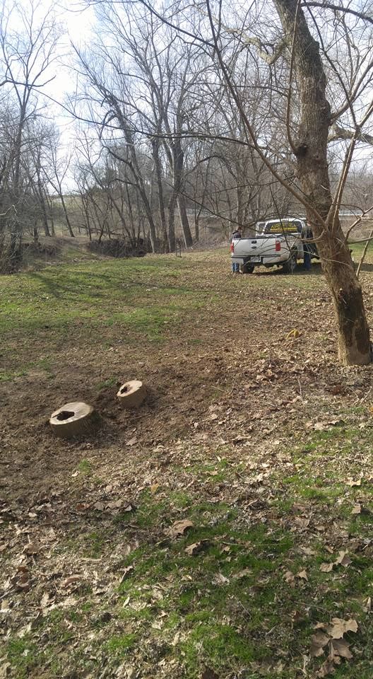 Tree Removal for Lightning Tree Service in Corydon, IN