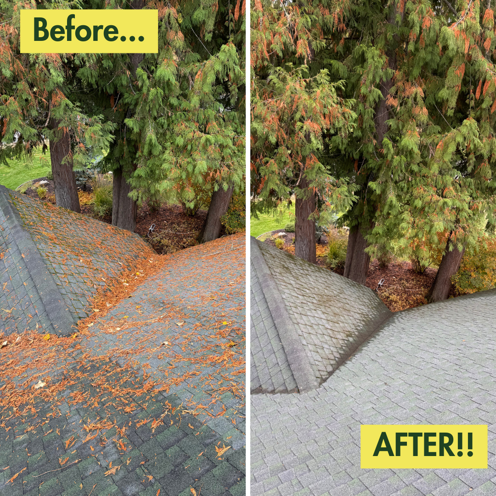 Before & After Photos for Swift Serve in Coeur d'Alene, ID