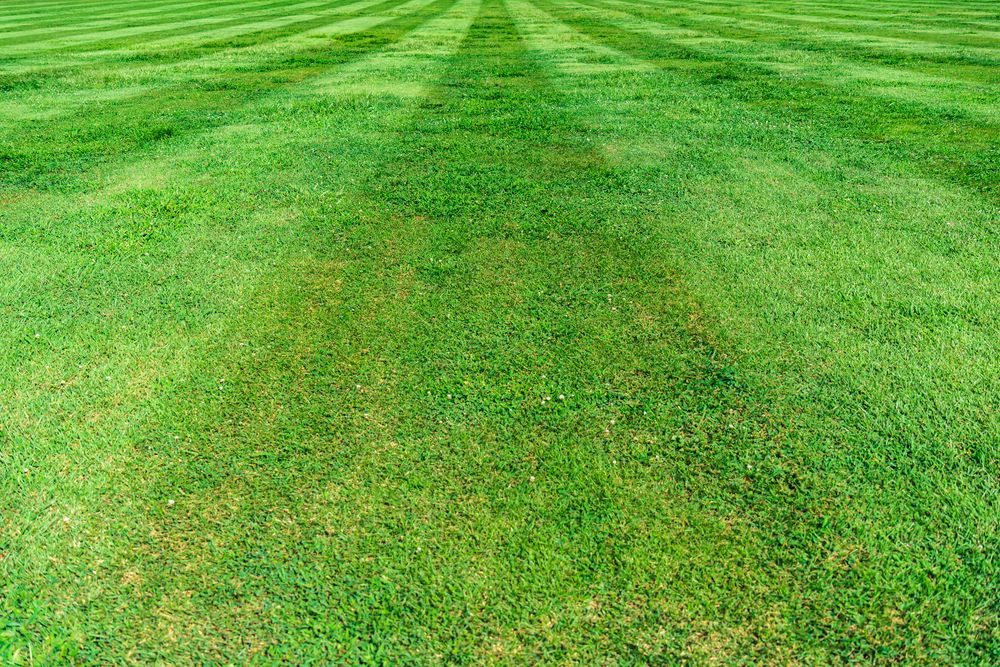 Landscaping for Voyager Automated Solutions in McHenry County, IL