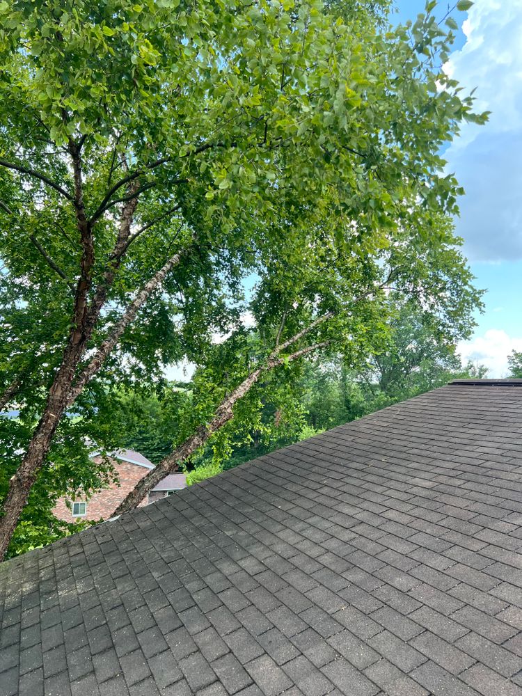 All Photos for Kadin’s Tree Service in North Vernon, IN