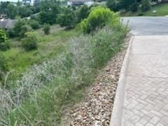 All Photos for Oviedo Land & Garden in Bastrop, TX
