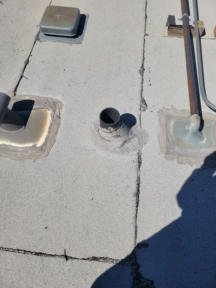 All Photos for Niko's Pest Control in Las Vegas, NV
