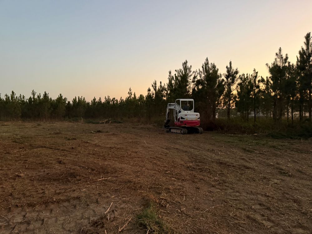 All Photos for T N L - Tree and Land Service in Reynolds, GA