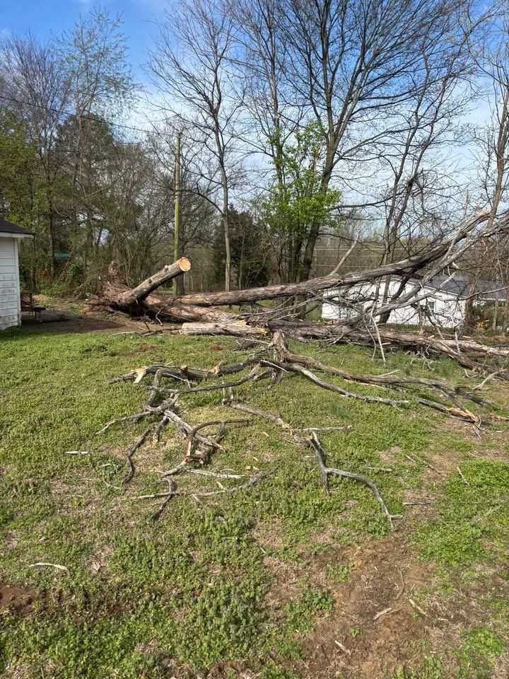 All Photos for Cody's Quality Construction in Milan, TN