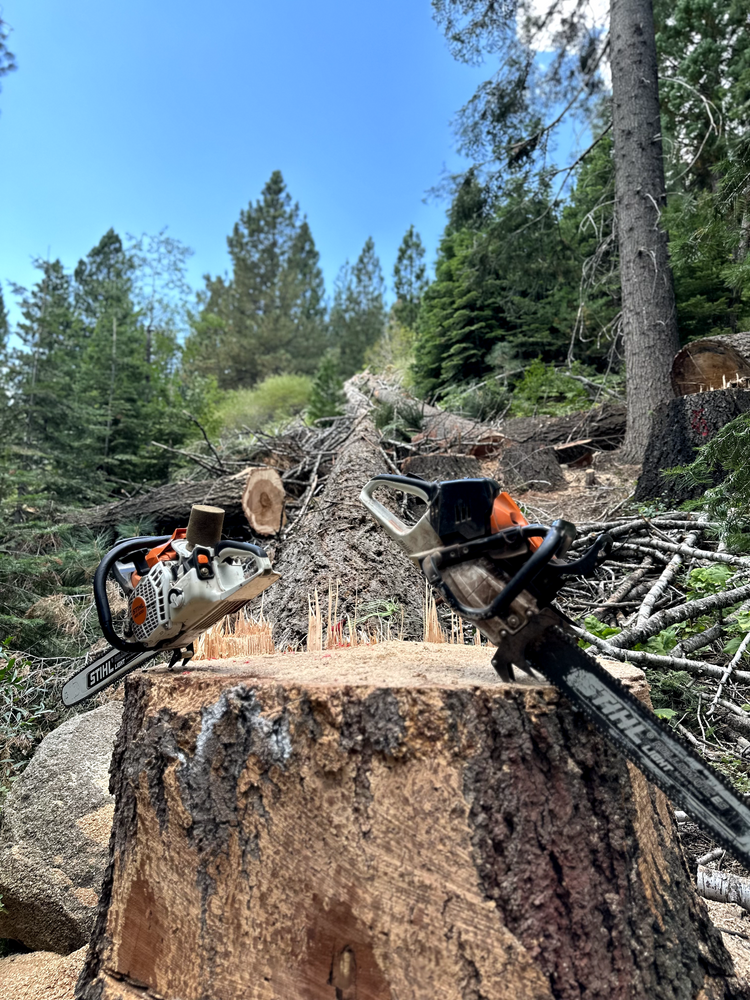 All Photos for Tyco Forest Management in Placerville, CA