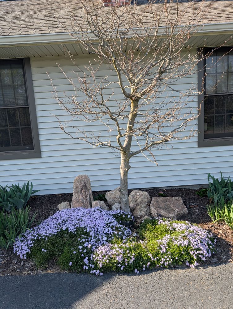 All Photos for Evolution Earthscapes, LLC in Ludlow, MA