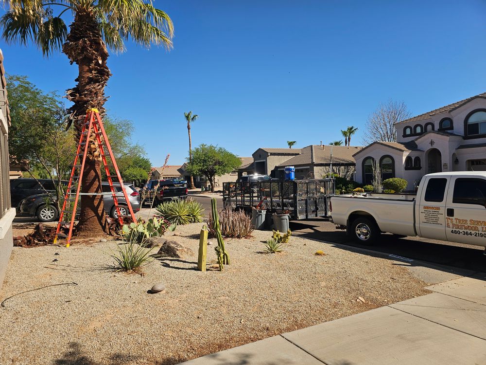 All Photos for T's Tree Service and Firewood in Apache Junction, AZ