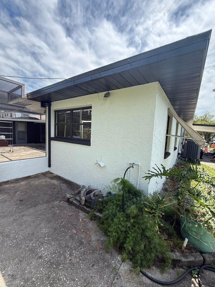 All Photos for Escorpio Painting in Tampa, FL