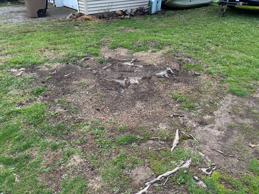 All Photos for Conrad's Stump Removal in Columbus, IN