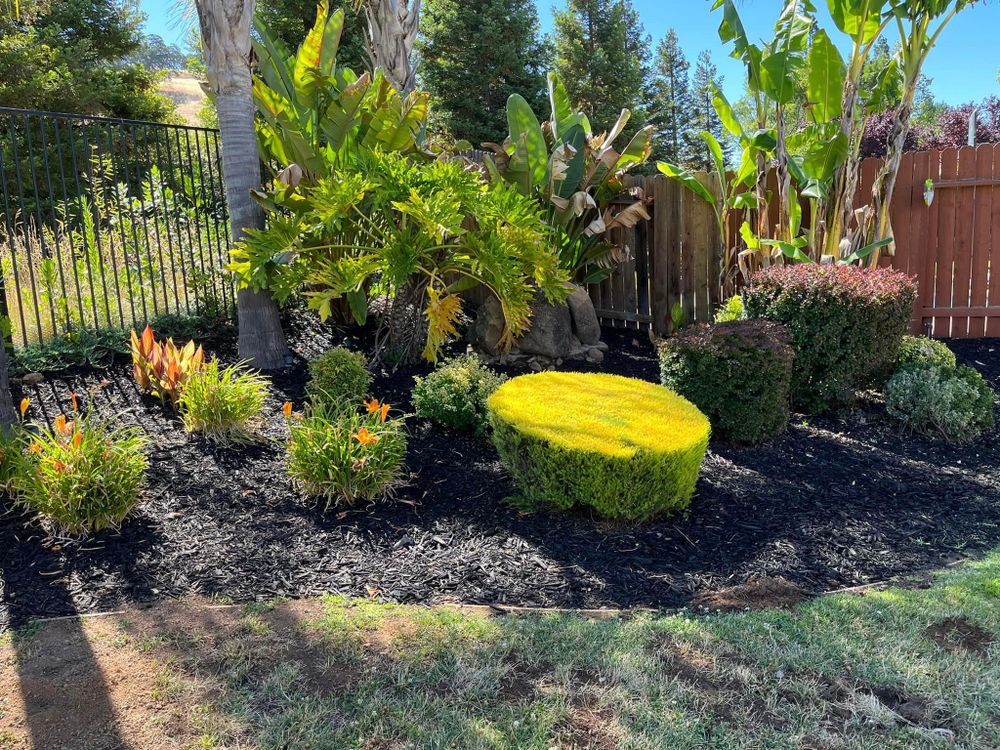 Fall and Spring Clean Up for Folsom Lake Landscaping in El Dorado Hills, CA