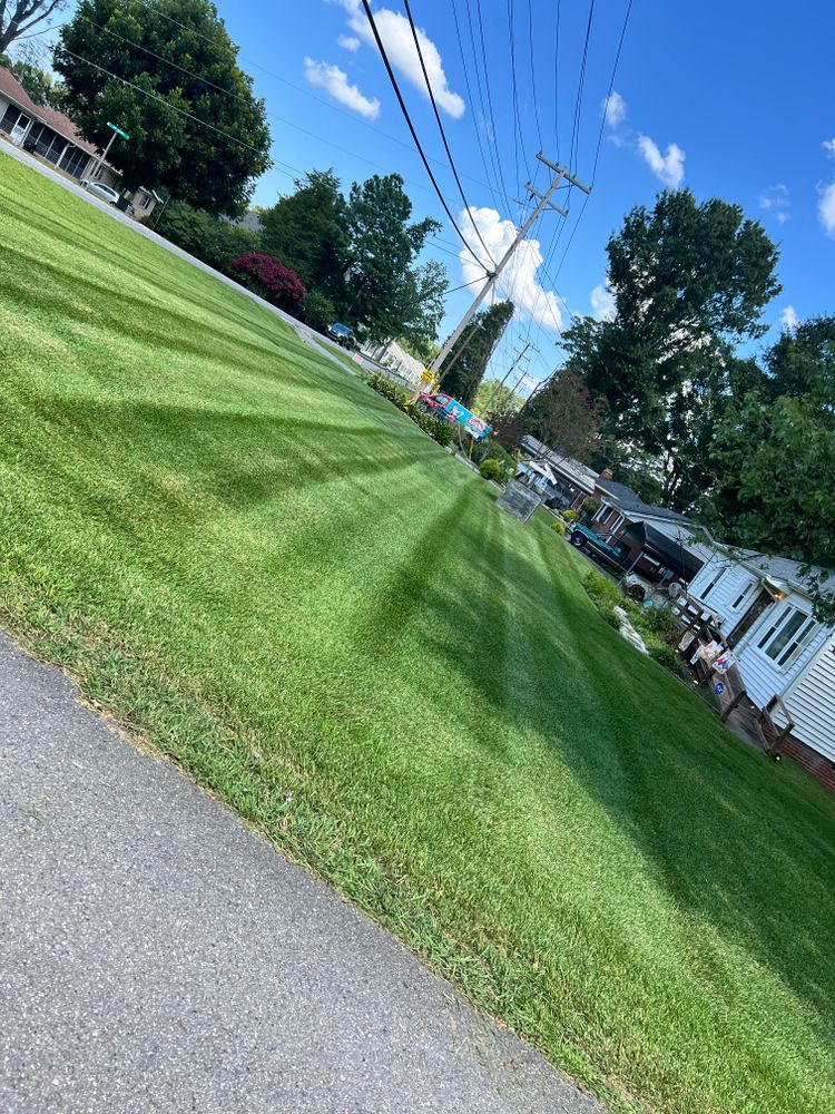 All Photos for Massey Landscaping in Gastonia, NC