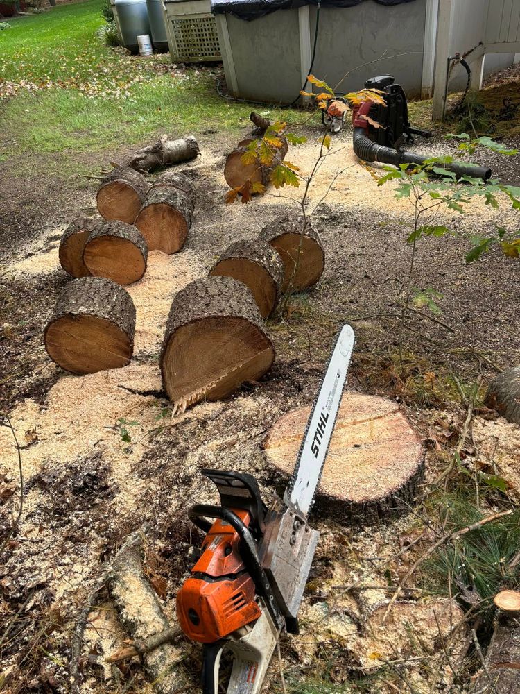 All Photos for Dwights Tree Service LLC in Middleborough, MA