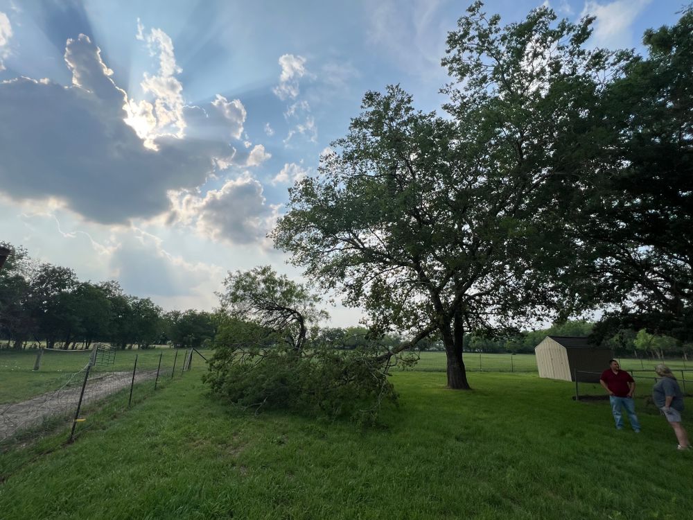 All Photos for DR Landscape in San Antonio, TX