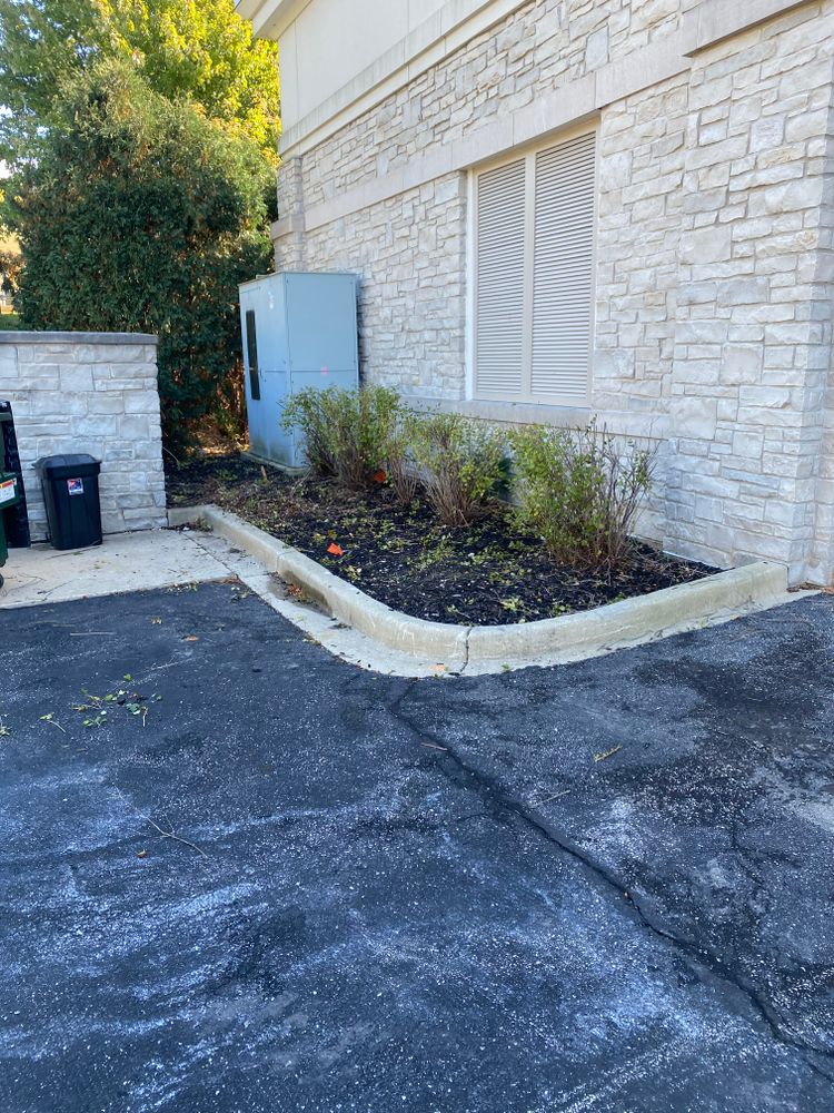 Our Rough Cut service is designed for homeowners seeking basic land clearing and initial site preparation. It involves rough cutting vegetation to create a clean canvas for landscaping projects. for Trim Seasonal Services in Milwaukee, WI