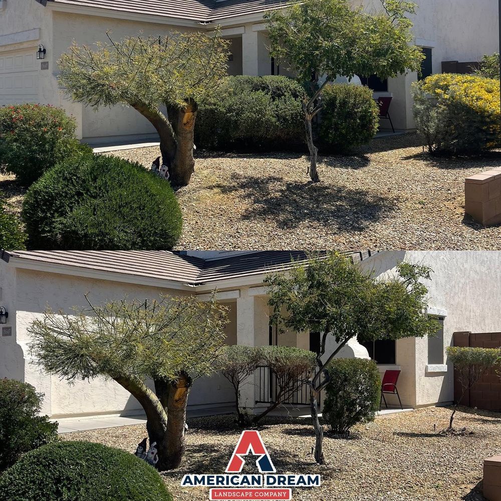 All Photos for American Dream Landscape Company in Surprise, AZ