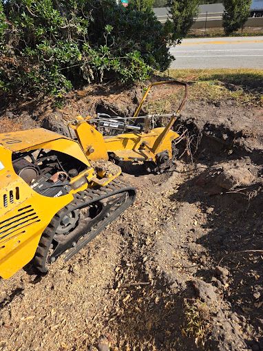 All Photos for Near Me Tree Service, Inc. in DeLand, FL