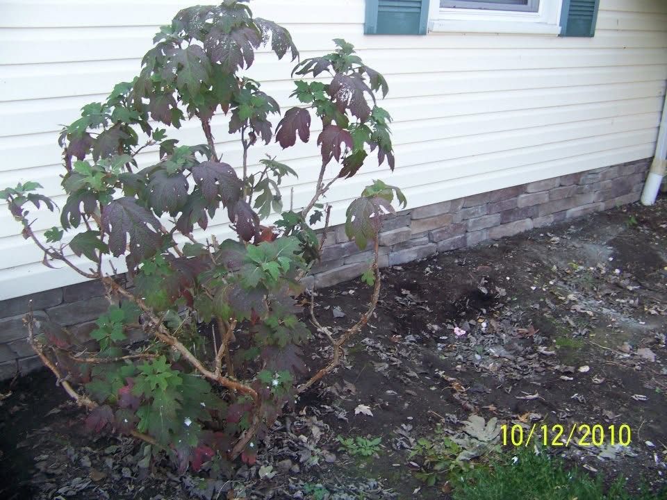All Photos for My Guy Handyman Service in Newark, OH
