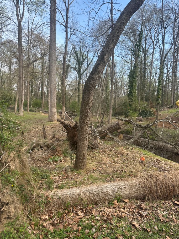 All Photos for Toney Site Services LLC in Rutherford County, NC