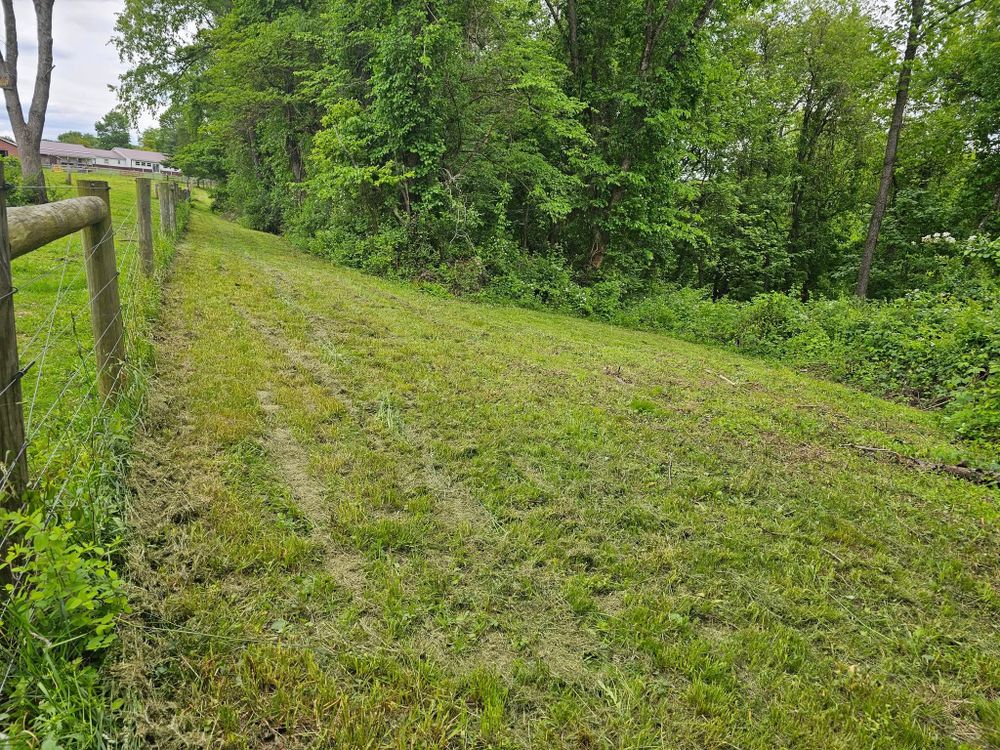 Tree Removal for I and R Stump Grinding in Thornville, OH