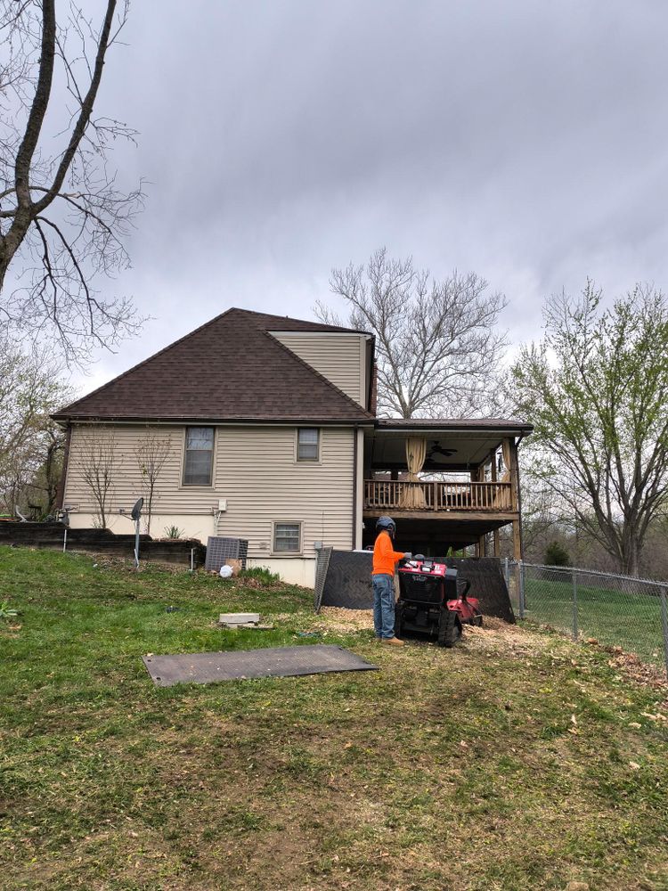 Tree Removal for Cross Family Tree Service in Kearney, MO