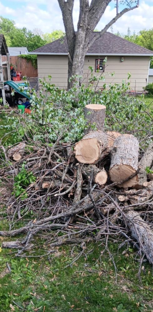 All Photos for Lawn Ranger Yard And Tree Service LLC in Ottumwa, IA