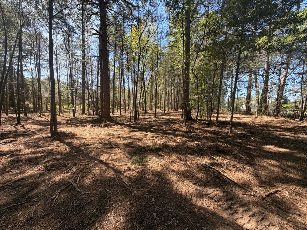 All Photos for 903 Mulching in East Mountain, TX