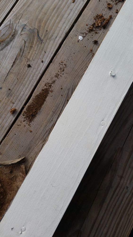 All Photos for Mancinas Home Improvement, Landscaping, & Lawn Care in Fayetteville, NC