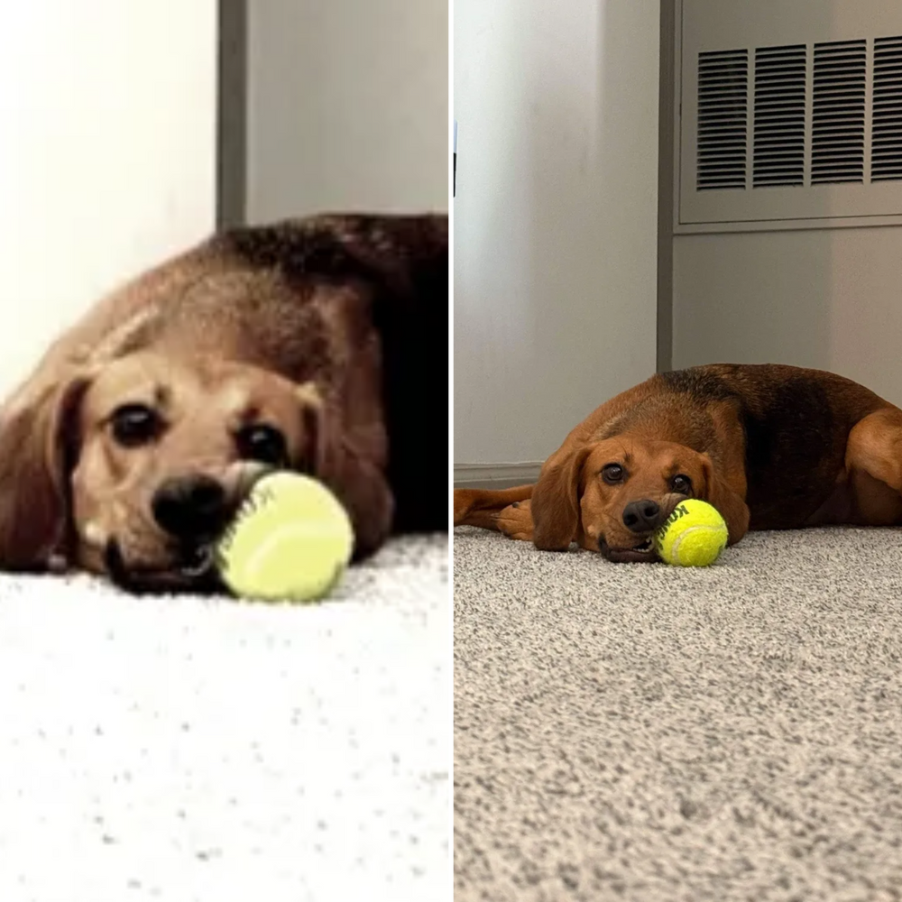 All Photos for Gallagher's Plastering For Fun Fun! in Covington, KY