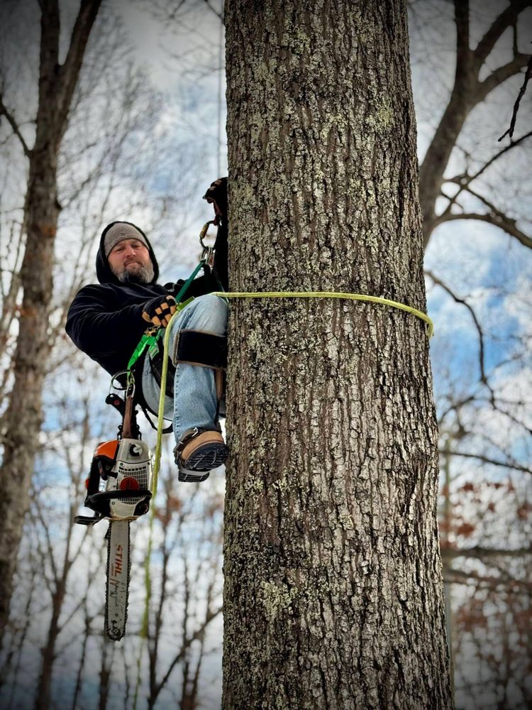 All Photos for Hamlett Tree Service LLC in Clover, VA