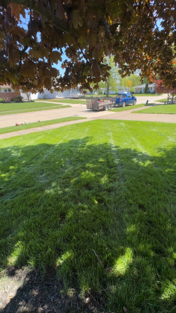 All Photos for Yard Theory in Willowick, OH