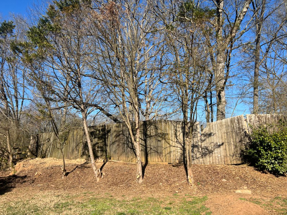 All Photos for Amerigreen Lawn & Landscape in Duluth, GA
