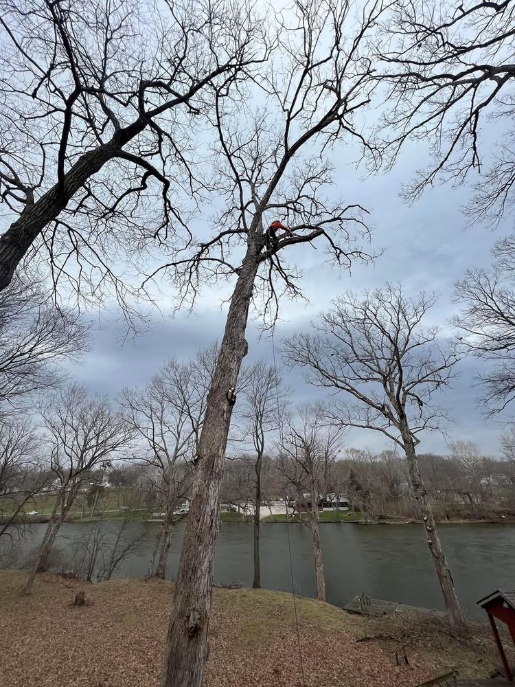 All Photos for Highborn Tree Service in Wheatfield, IN