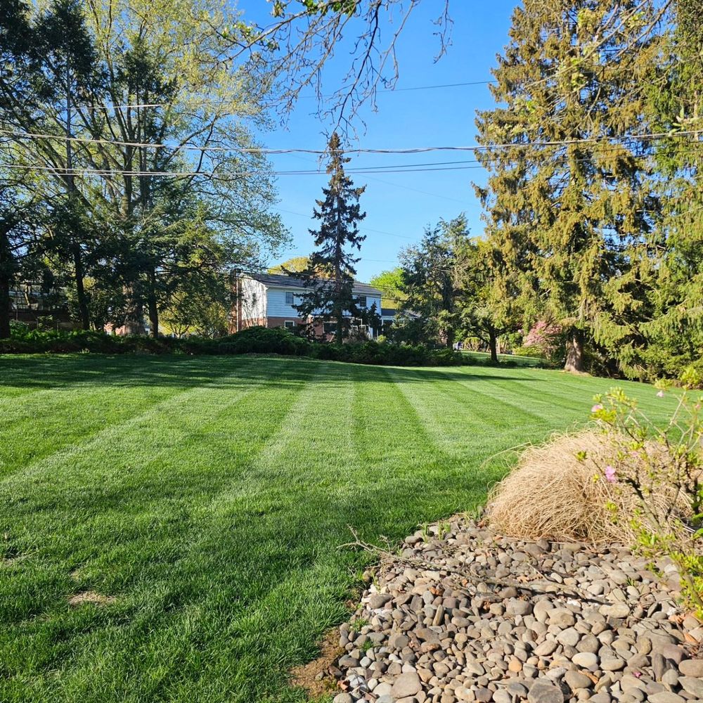 All Photos for Trippin A-Lawn in Bethlehem, PA
