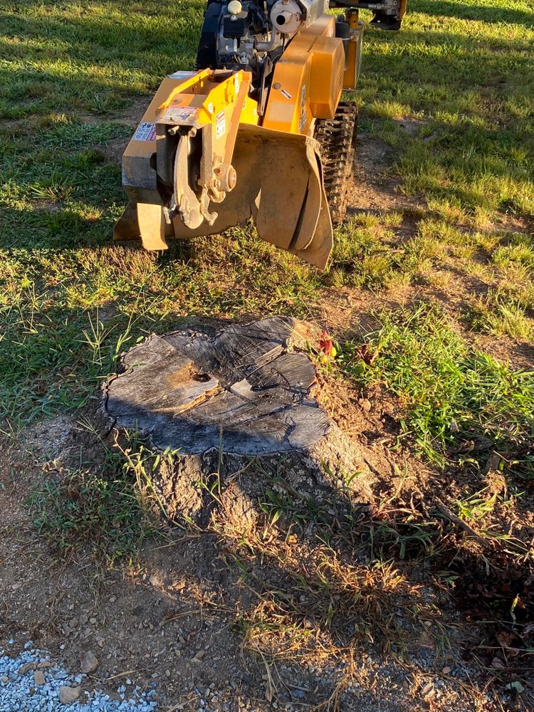 Our stump removal service, part of our comprehensive junk removal solutions, efficiently eliminates unwanted tree stumps from your property, enhancing safety and freeing up space for improved landscaping. for Junk B Gone in Rougemont, NC