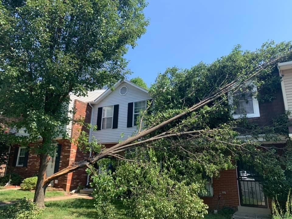 Our 24-hour storm damage service provides immediate assistance to homeowners dealing with fallen trees or damaged property after a severe weather event, ensuring quick and professional removal and cleanup. for Branch Out Tree Care LLC in Fredericksburg, VA