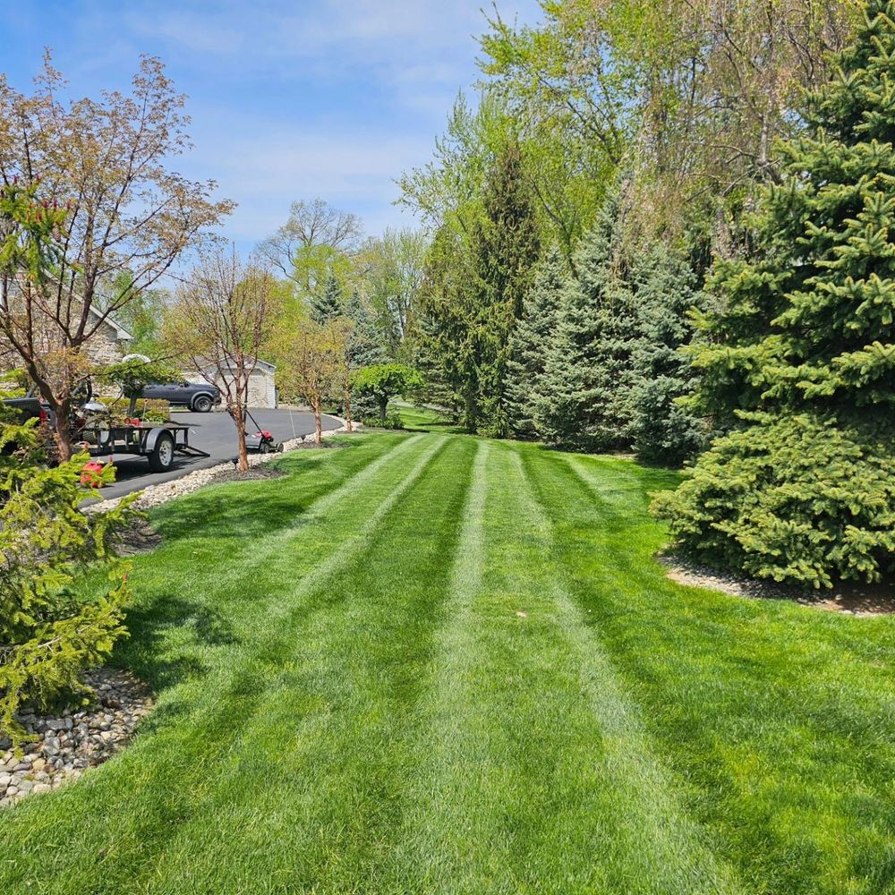 All Photos for Trippin A-Lawn in Bethlehem, PA