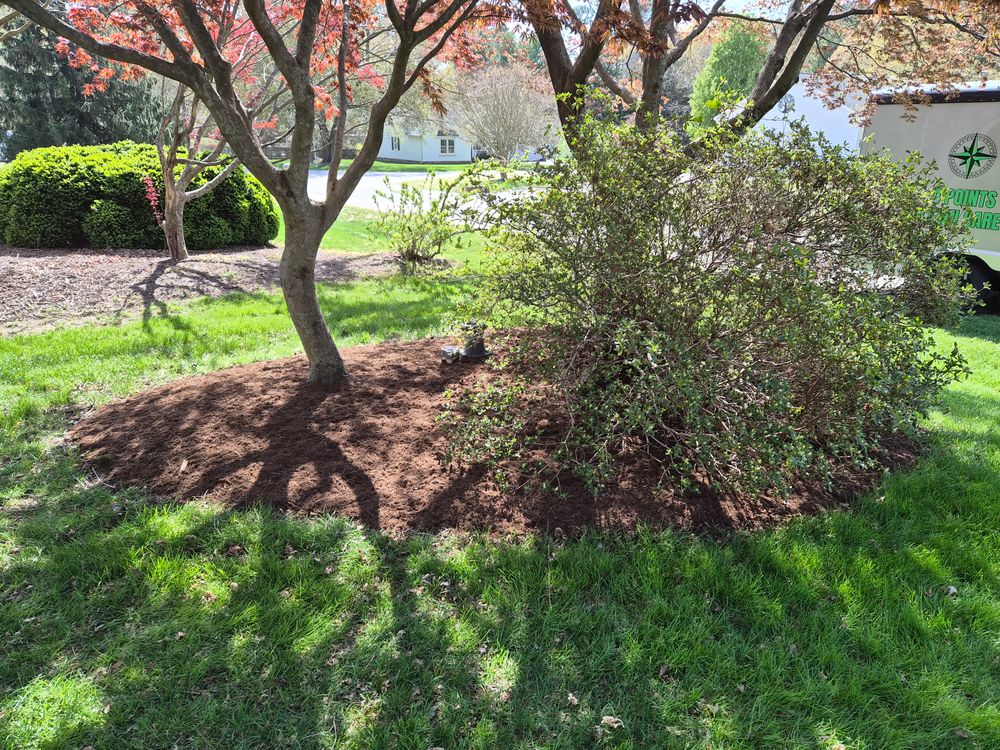 Landscaping  for 4 Points Lawncare LLC in Hayes, VA