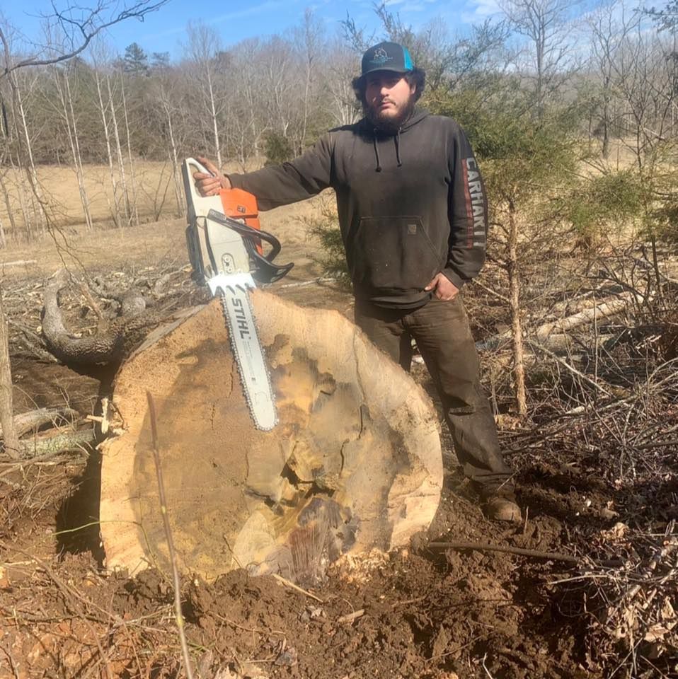 Williamson Logging team in Hardy, VA - people or person