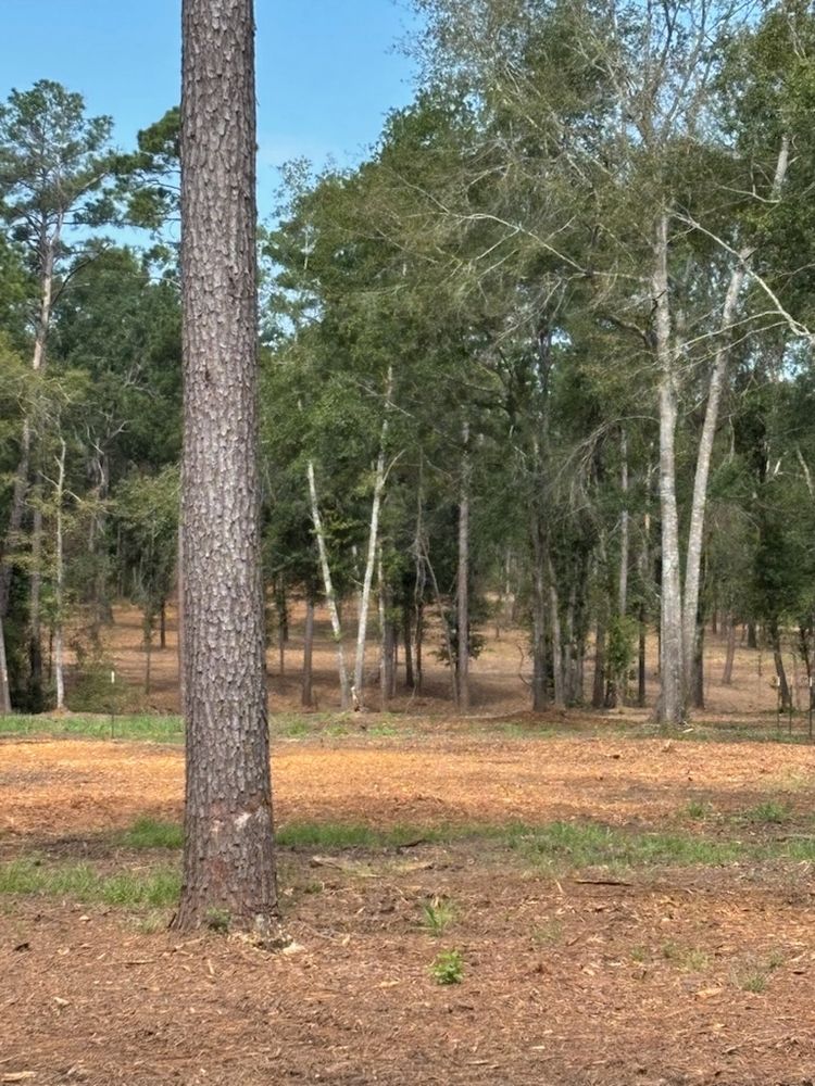 All Photos for JM Services in Woodville, TX