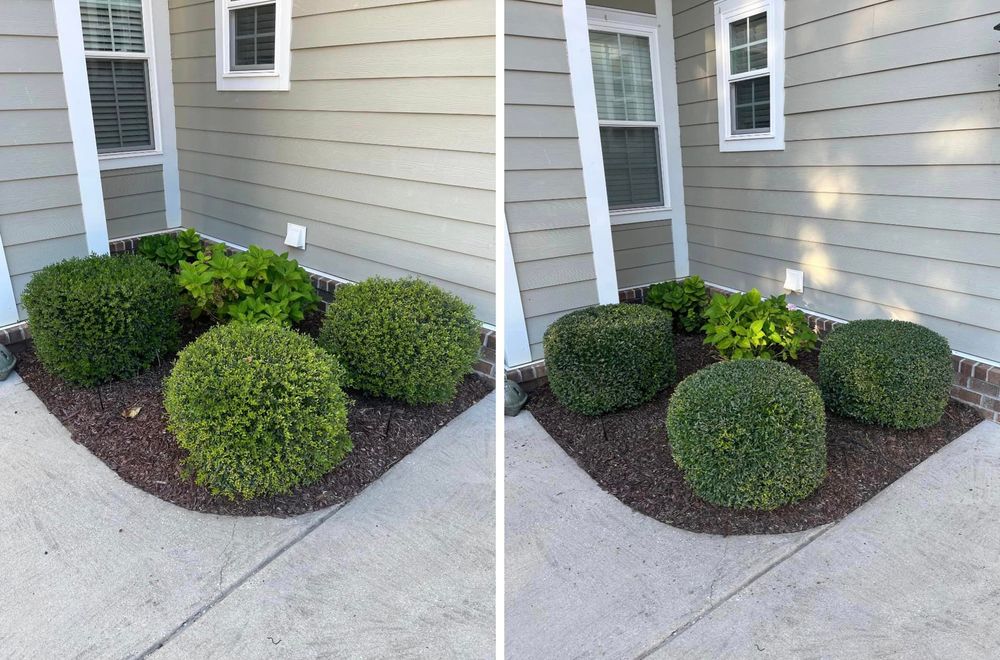 Our professional shrub trimming service ensures your landscape stays well-manicured and healthy. Our skilled team will expertly shape and prune your shrubs to enhance the overall beauty of your property. for GreenGo Lawn Pros in Myrtle Beach, SC