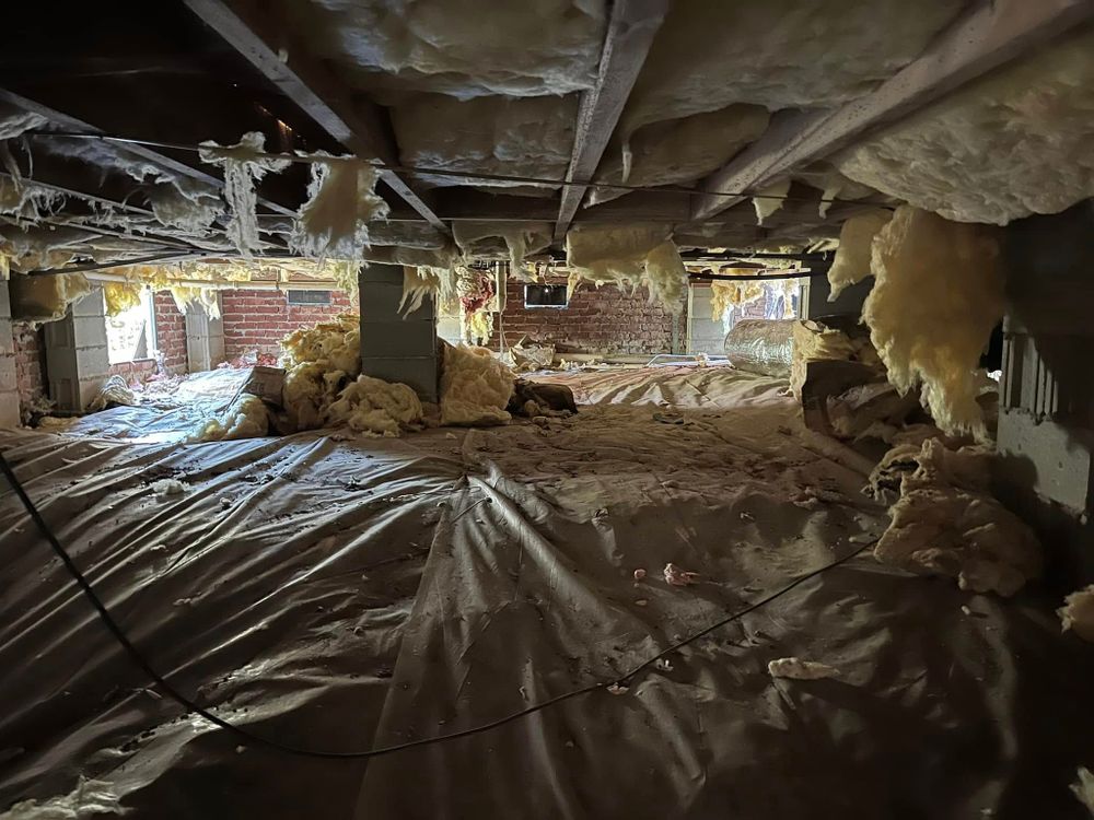 All Photos for Big Country Mechanical in Charleston, SC