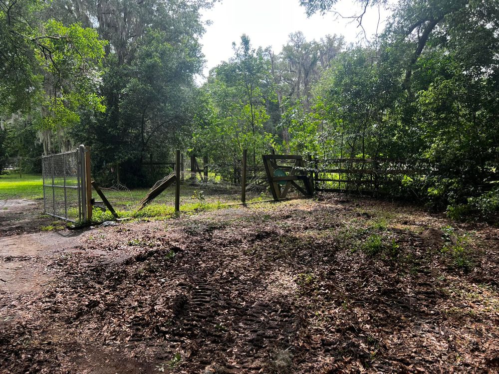 Tree Removal for Daniel Hickey’s Tree Service in DeLand, FL