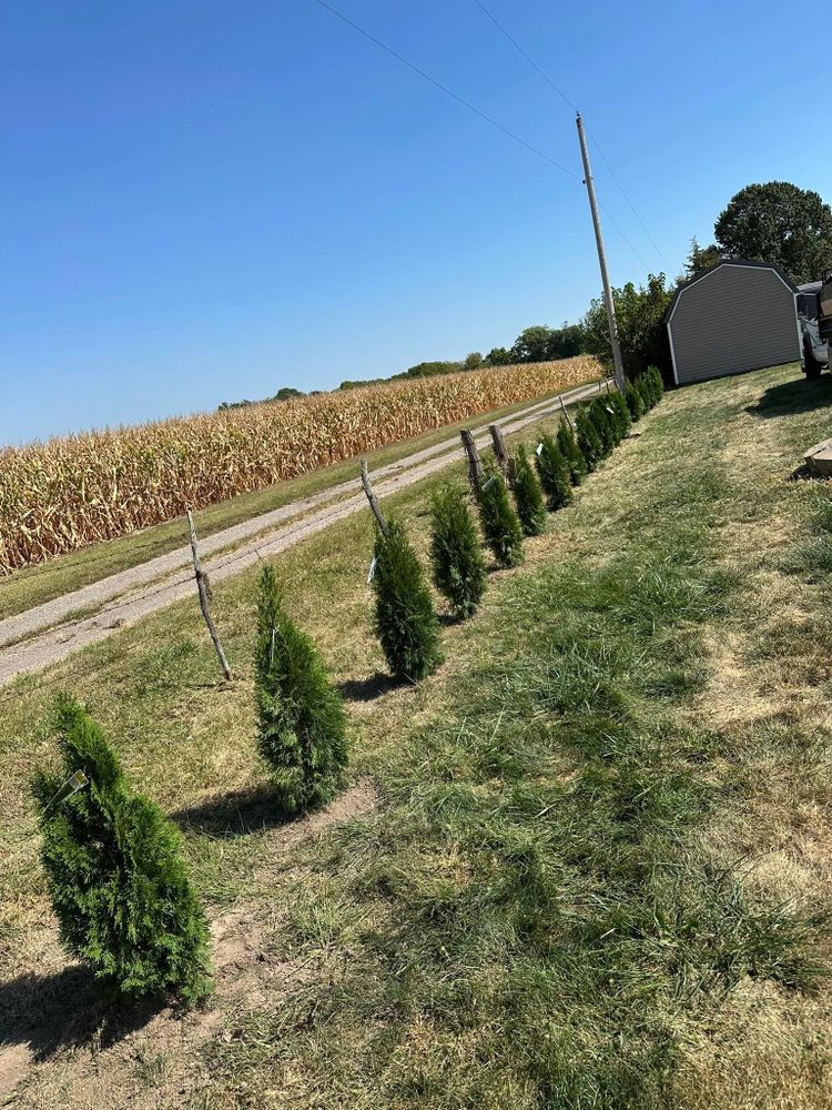 All Photos for Greenlee & Family Landscaping Services in Peoria, IL