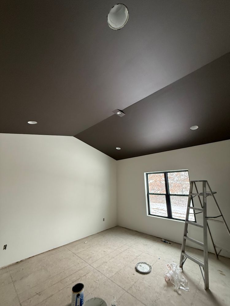 Painting Services - Holmen, Wisconsin  for Vazquez Drywall in Trempealeau County, WI