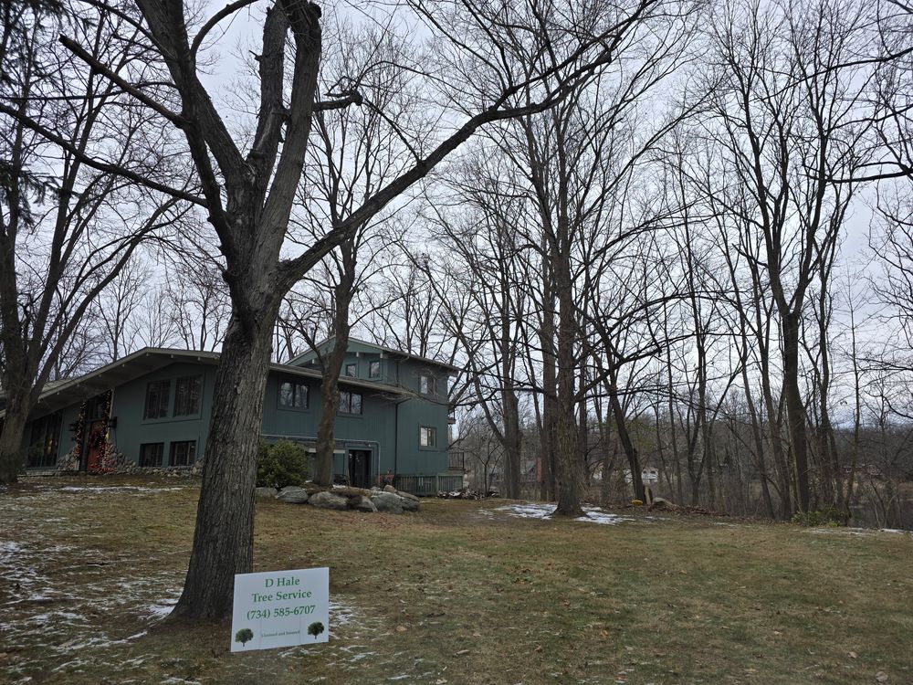 All Photos for D Hale Tree Service in Ann Arbor, MI